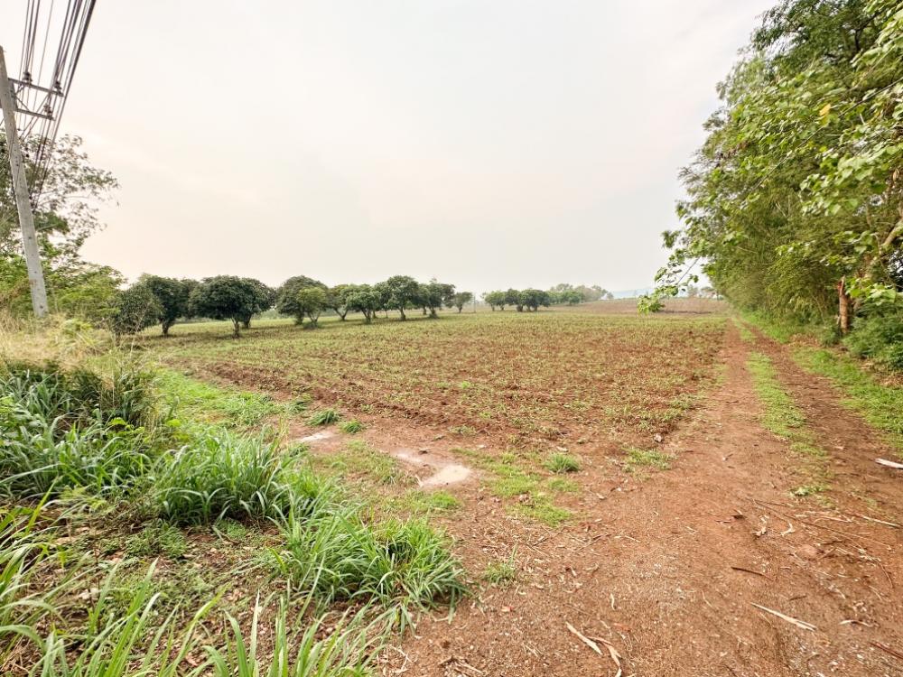 ขายที่ดิน Prime Location เขาใหญ่ | KHAO YAI LANDMARK LOCATION | ทำเลทอง ตรงข้าม Toscana Valley เขาใหญ่