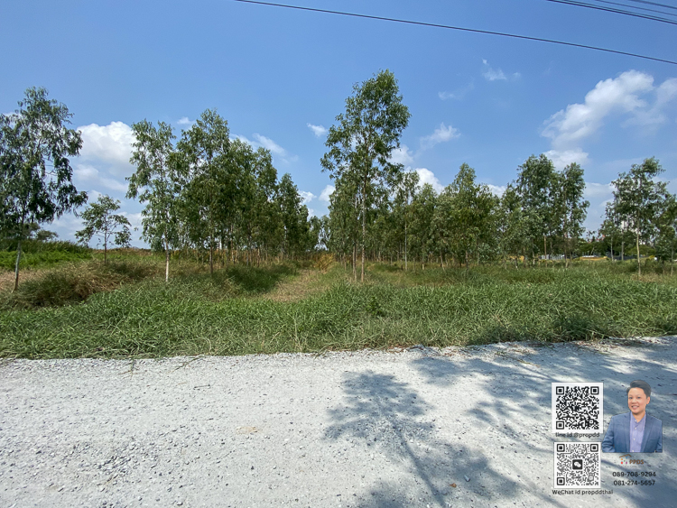 ขายที่ดินเปล่า ข้างเอแบค บางนา อยู่ถนน บางนา-ตราด กม. 26 – รูปที่ 2