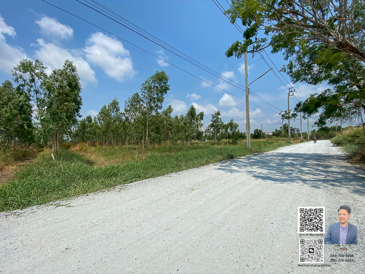 ขายที่ดินเปล่า ข้างเอแบค บางนา อยู่ถนน บางนา-ตราด กม. 26 – รูปที่ 4
