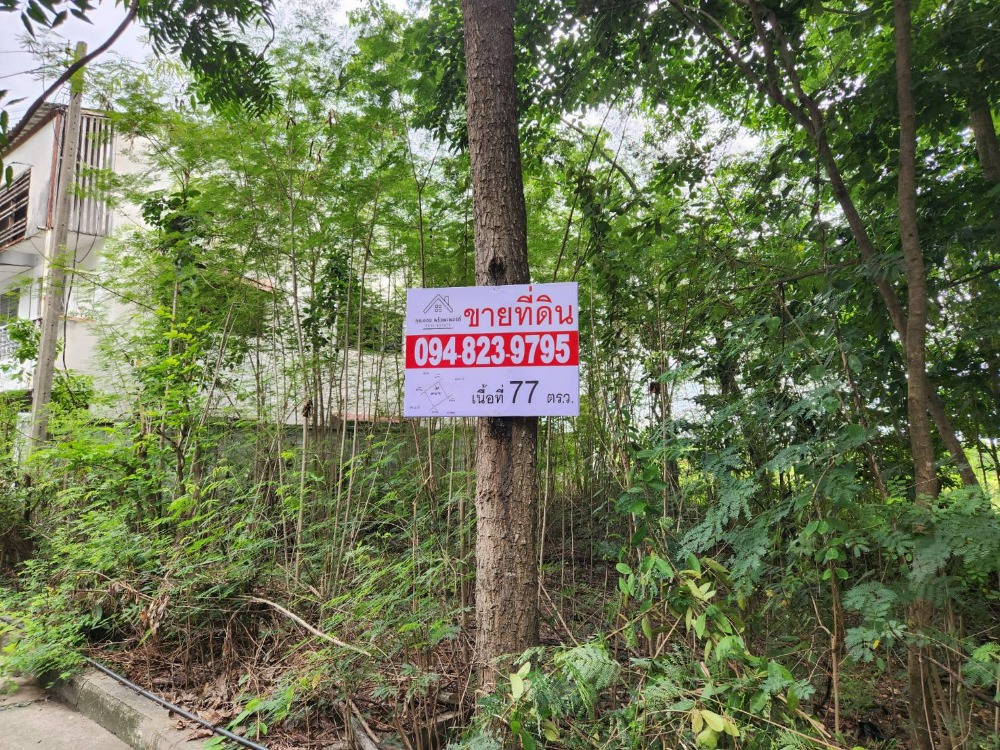 Land for sale 77 square wa. Rift Subdistrict, Lat Lum Kaew District, Pathum Thani Province. – รูปที่ 2