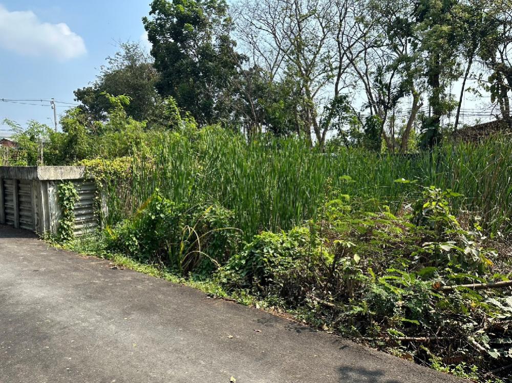 Land for sale, 111 sq m., Phra Thep Road, Phran Nok - Phutthamonthon Sai 1, Ratchaphruek – รูปที่ 2