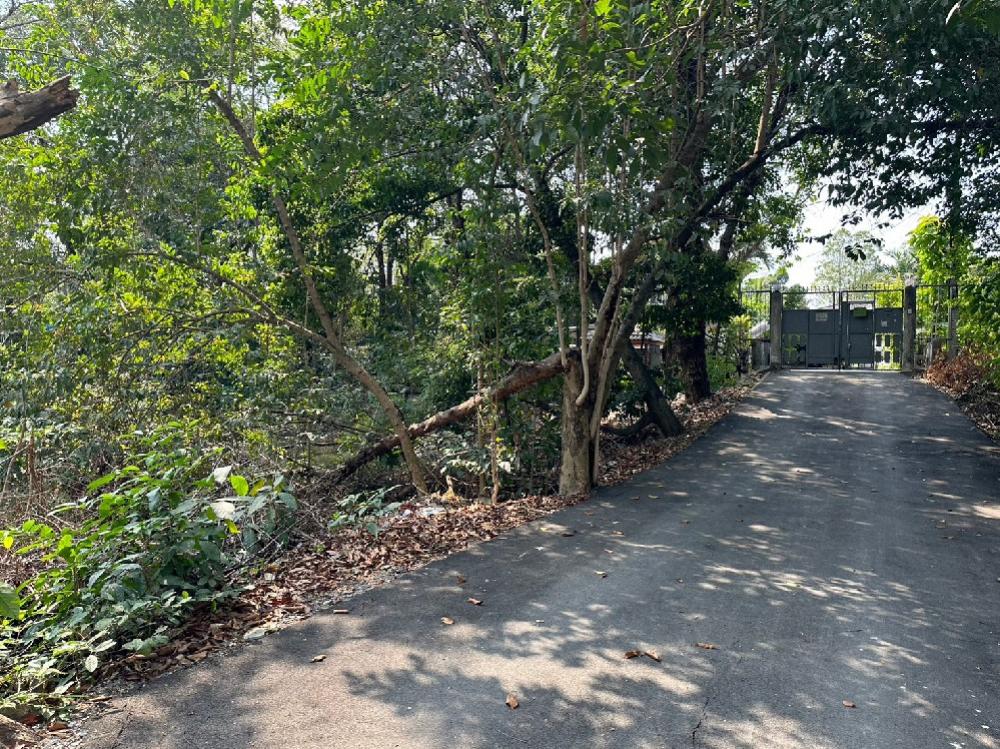 Land for sale, 111 sq m., Phra Thep Road, Phran Nok - Phutthamonthon Sai 1, Ratchaphruek – รูปที่ 3