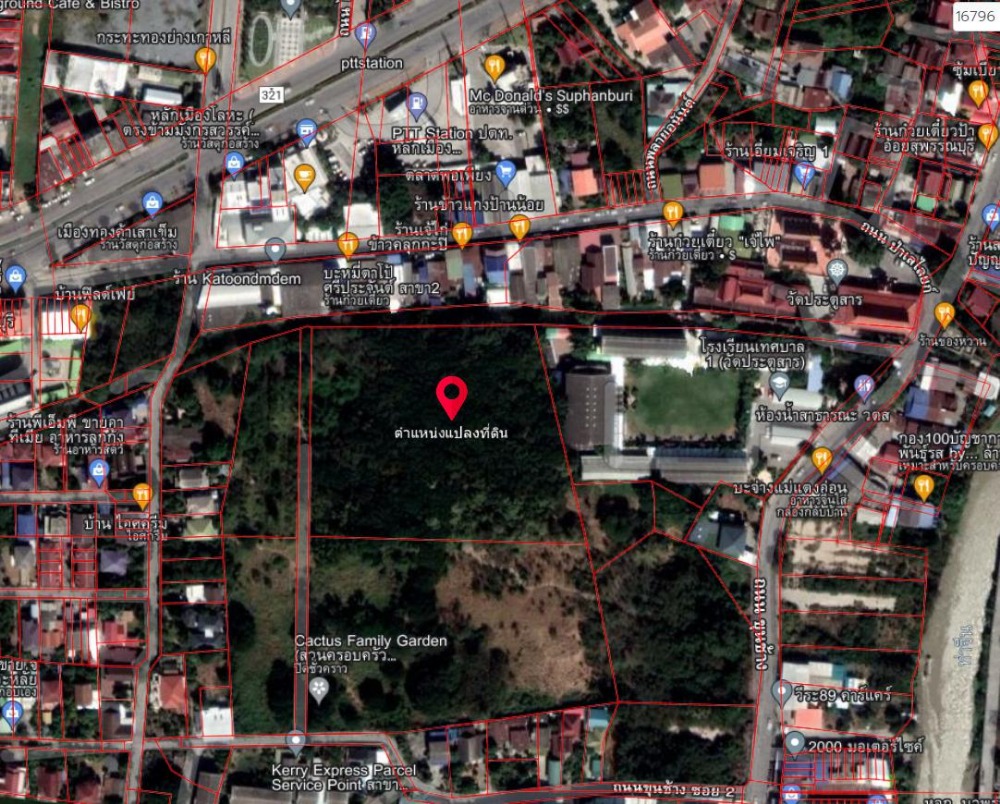 Land for sale in Suphan Buri.