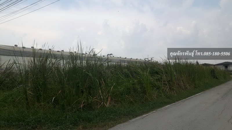 Land for sale, 78 sq m., Rangsit-Nakhon Nayok Road, Soi Bongkot 32, sold separately or together, 468 sq m. – รูปที่ 2