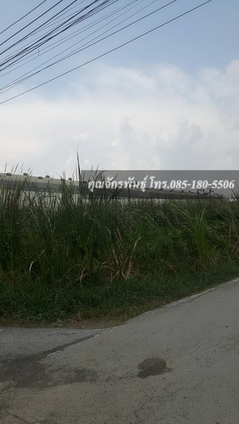 Land for sale, 78 sq m., Rangsit-Nakhon Nayok Road, Soi Bongkot 32, sold separately or together, 468 sq m. – รูปที่ 3