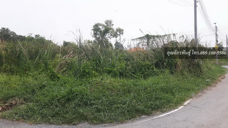 Land for sale, 78 sq m., Rangsit-Nakhon Nayok Road, Soi Bongkot 32, sold separately or together, 468 sq m. – รูปที่ 4