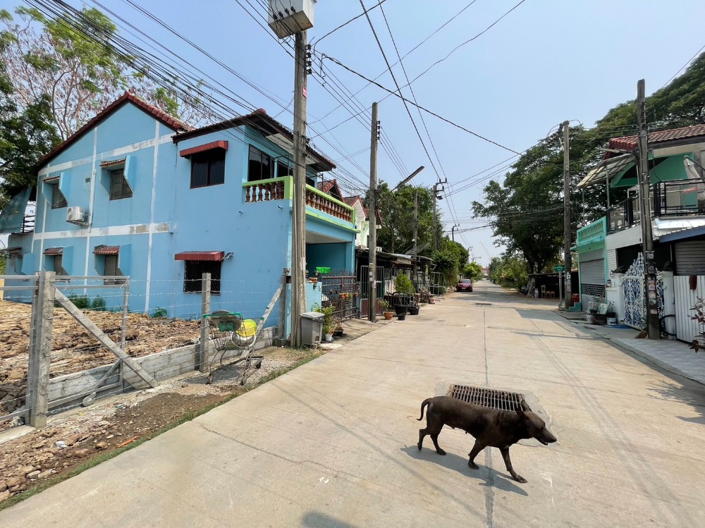 ให้เช่าที่ดินถมแล้ว 54 ตรว. ซอยวัดลาดปลาดุก หมู่บ้านธารทอง 2 บางใหญ่ นนทบุรี – รูปที่ 2