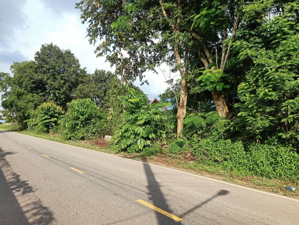ขายถูก ที่ดิน ถนนพนมสารคาม-สนามชัยเขต 601 ตรว เหมาะทำออฟฟิศ บริษัท – รูปที่ 3