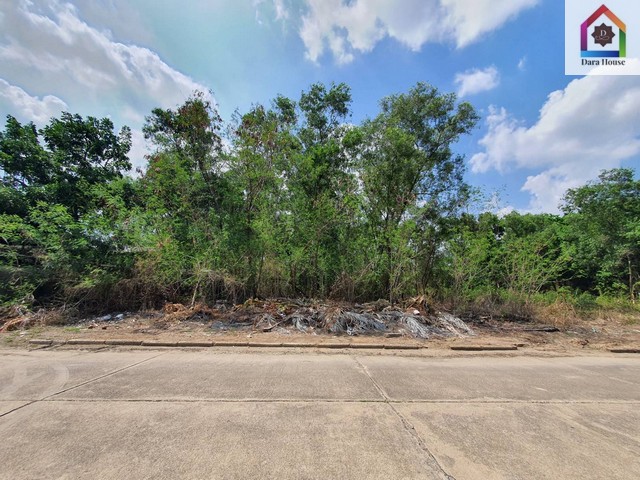 ขายที่ดินเปล่า 206 ตร.ว ในเมืองเอก เมืองปทุมธานี ใกล้มหาลัยรังสิต – รูปที่ 2