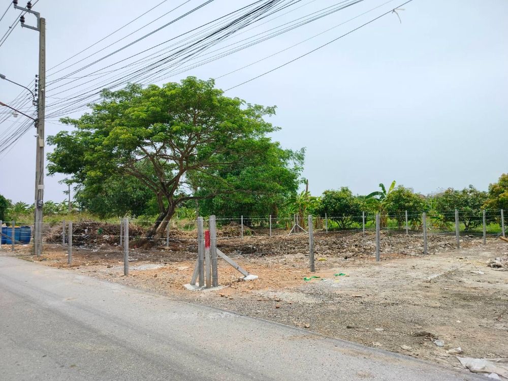 ขายที่ดินเปล่าสวย ทำเลดี ซ.สังฆสันติสุข 38 (ติดถนนซอยกว้าง 6 เมตร) หนองจอก กทม. ขายที่ดินเปล่าสวย ทำเลดี ซ.สังฆสันติสุข 38 (ติดถนนซอยกว้าง 6 เมตร) หนองจอก กทม.