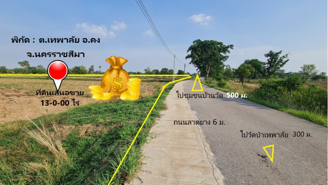 🚨 DEVELOPER 10M+ ห้ามเลื่อน! 13 ไร่ ราคา 10.4 ล้าน — ทำเลบ้านวัด 📍 ต.เทพาลัย อ.คง โคราช | เขตเทศบาล – รูปที่ 2