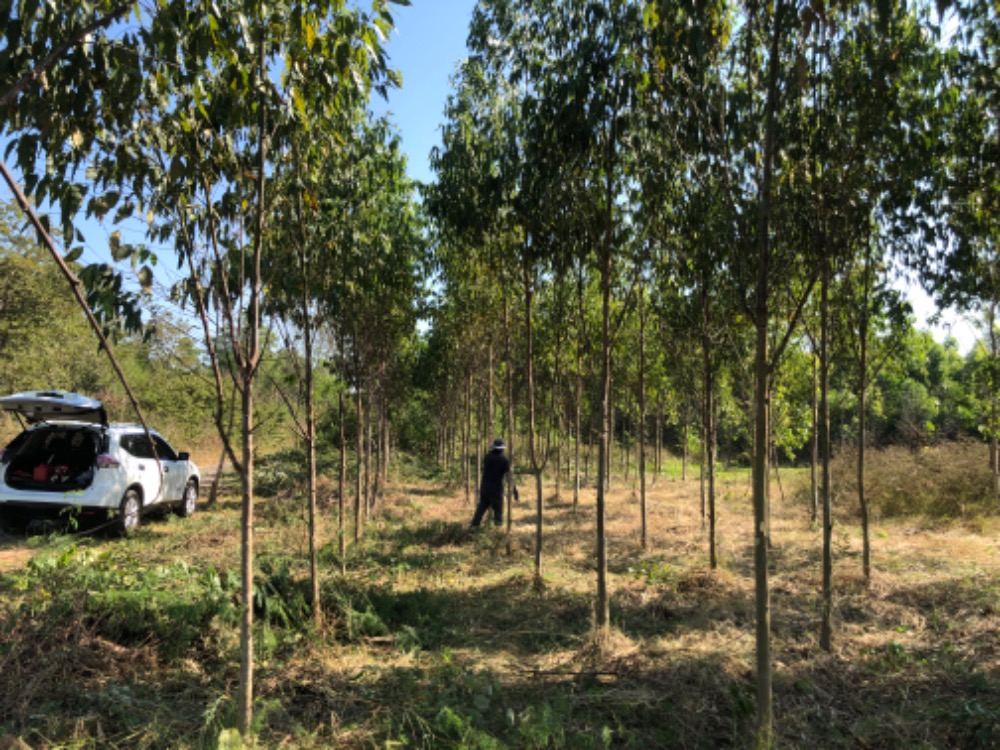 Land of approximately 2 rai in the Bangpakong Riverside project. – รูปที่ 3