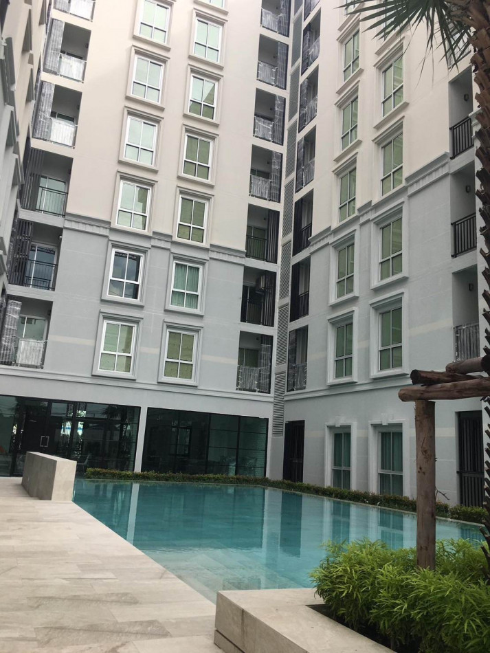 ขายถูก Plum Condo Chaengwattana Station เฟส 1 (ติดรถไฟฟ้า BTS สีชมพู) 1 ห้องนอน 1 ห้องน้ำ เฟอร์นิเจอร์ครบ พร้อมอยู่ ขายถูก Plum Condo Chaengwattana Station เฟส 1 (ติดรถไฟฟ้า BTS สีชมพู) 1 ห้องนอน 1 ห้องน้ำ เฟอร์นิเจอร์ครบ พร้อมอยู่