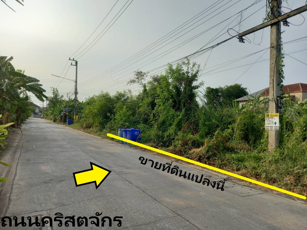 ขายที่ดิน 99 ตรว. ซอยวัดนักบุญมาร์โก ถนนกรุงเทพฯ-ปทุมธานี  Ref. A01230501 – รูปที่ 2