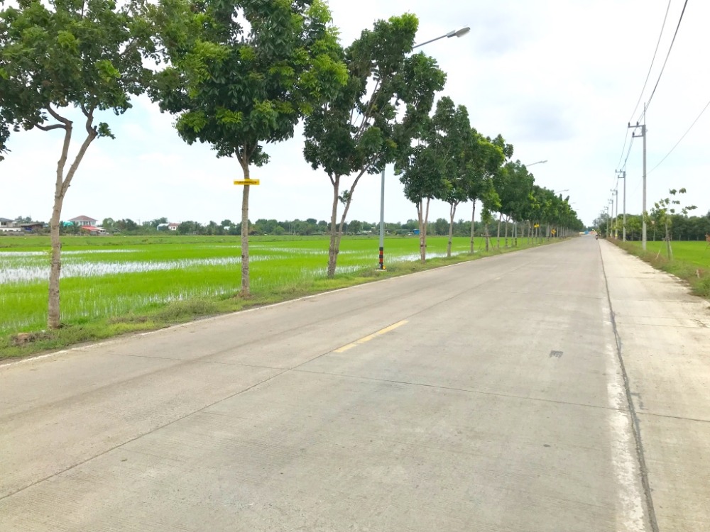 ที่ดินเปลา 25 ไร่. ย่านลำลูกกาคลอง 6 หน้ากว้างตามถนนคอนกรีต 500 เมตร แปลงสวย ใกล้ถนนกาญจนาภิเษก ใกล้สวนสัตว์เขาดิน ที่ดินเปลา 25 ไร่. ย่านลำลูกกาคลอง 6 หน้ากว้างตามถนนคอนกรีต 500 เมตร แปลงสวย ใกล้ถนนกาญจนาภิเษก ใกล้สวนสัตว์เขาดิน