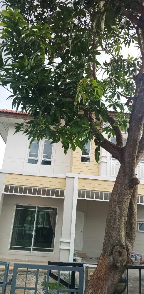บ้านพร้อมพัฒน์ 1 บ้านเดียว 2ชั้น 68 ตรว. ให้เช่า ติด รร.สาธิตพัฒนา ซาฟารีเวิล์ด เลียบคลองสอง MRT สีชมพู – รูปที่ 3