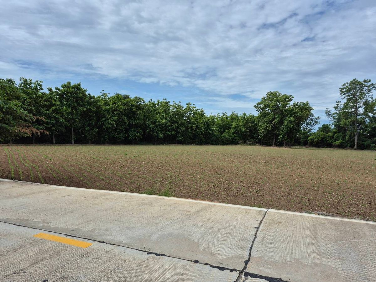 Land for sale in a beautiful location Kamphaeng Phet Province Land next to the Ping River The land is 8 rai 1 ngan 53 square wah. – รูปที่ 3