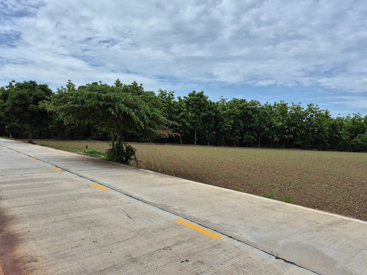 Land for sale in a beautiful location Kamphaeng Phet Province Land next to the Ping River The land is 8 rai 1 ngan 53 square wah. – รูปที่ 2