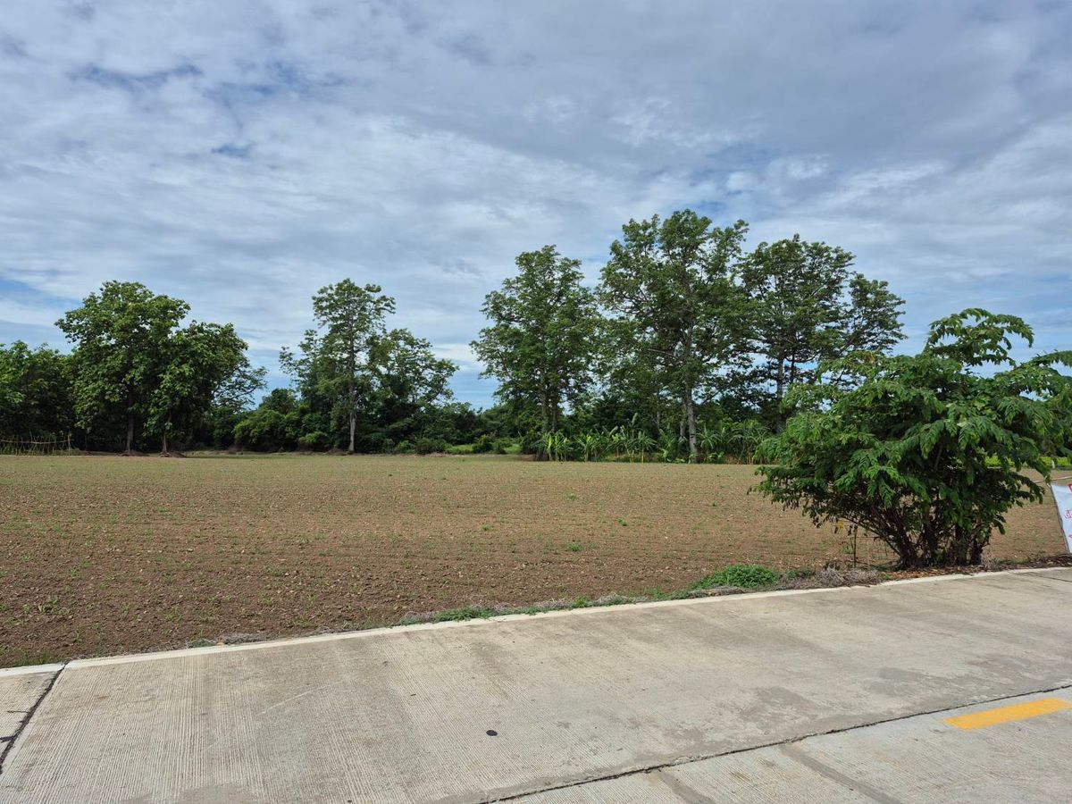 Land for sale in a beautiful location Kamphaeng Phet Province Land next to the Ping River The land is 8 rai 1 ngan 53 square wah. – รูปที่ 4