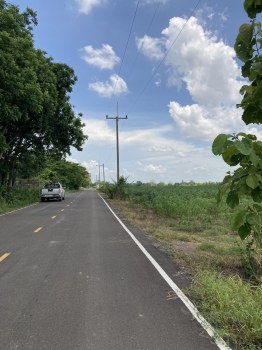 Land for sale, 38 rai 1 ngan 96 square wa, next to paved road, Ban Pa Subdistrict, Phitsanulok City – รูปที่ 2