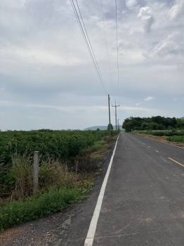 Land for sale, 38 rai 1 ngan 96 square wa, next to paved road, Ban Pa Subdistrict, Phitsanulok City – รูปที่ 3