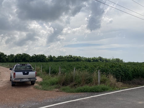 Land for sale, 38 rai 1 ngan 96 square wa, next to paved road, Ban Pa Subdistrict, Phitsanulok City – รูปที่ 4
