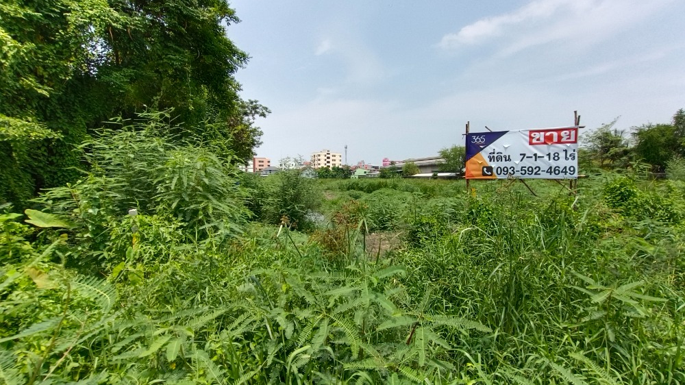 Urgent sale!! Land on the main road, King Kaew, Bang Phli, 7-1-18 Rai. – รูปที่ 4