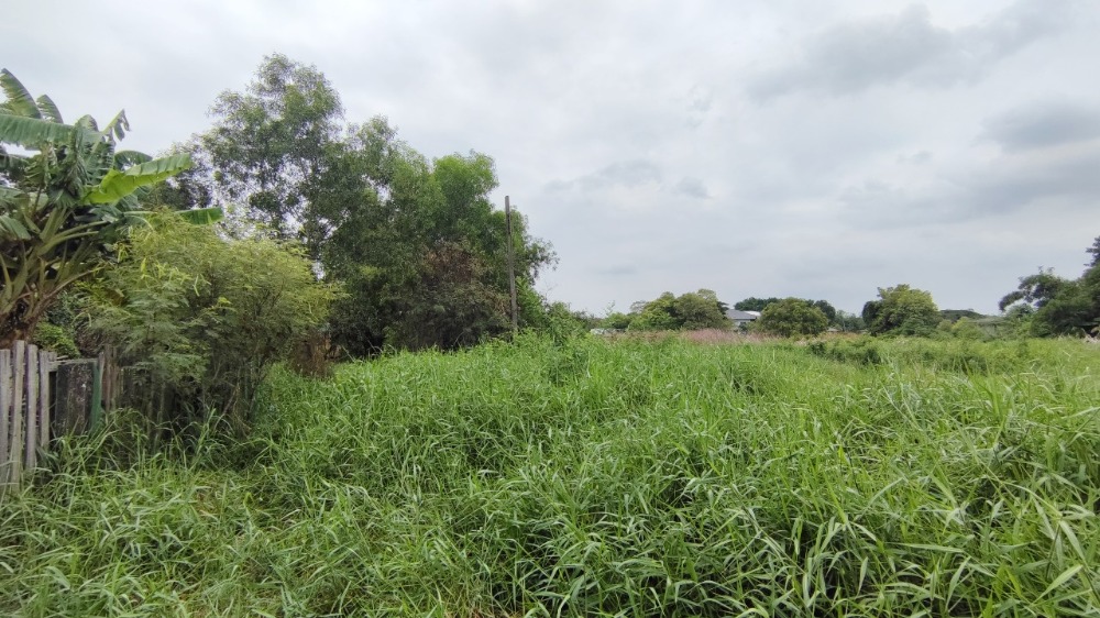 Land for sale, 414 square meters, Soi Suwinthawong 28 Intersection 5 (Charoensap), Minburi, convenient transportation, near the main road