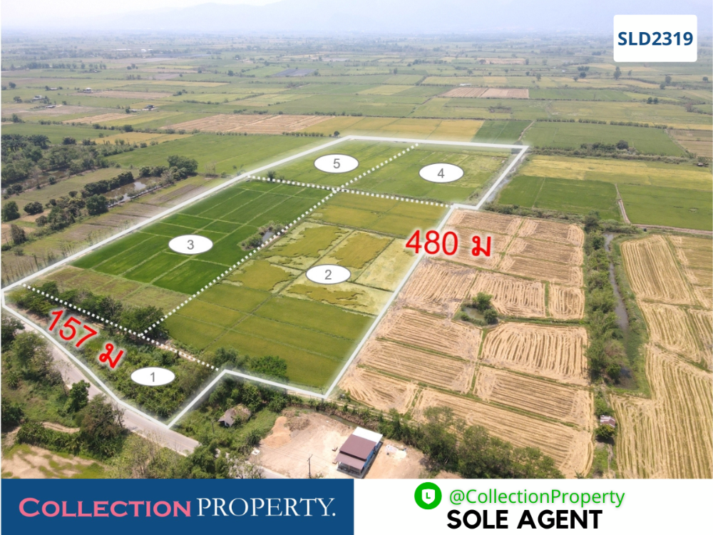 ☑️ Big plot of agricultural land with title deed on main road in Chiangrai province, 61.5 rai ☑️ Big plot of agricultural land with title deed on main road in Chiangrai province, 61.5 rai