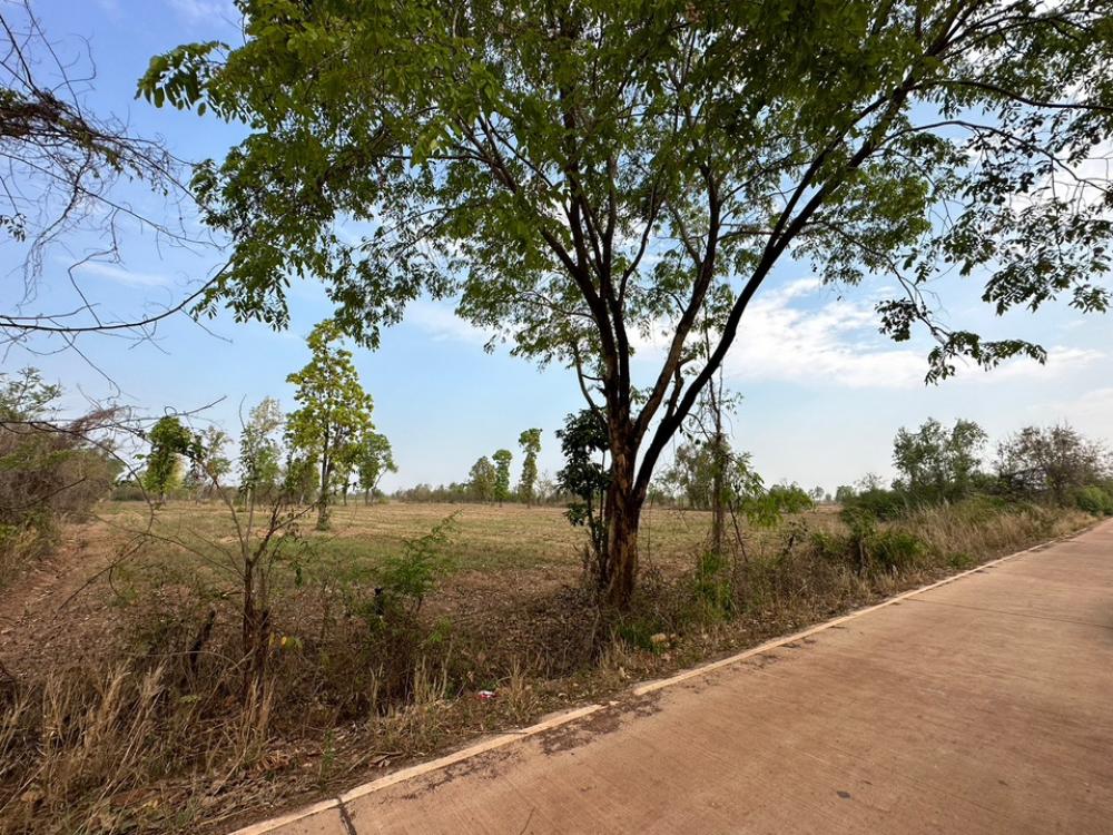 Urgent sale of land, 30 rai 3 ngan 21 square wa. Ready to use, ready to transfer, good price, Mueang Sakon Nakhon District