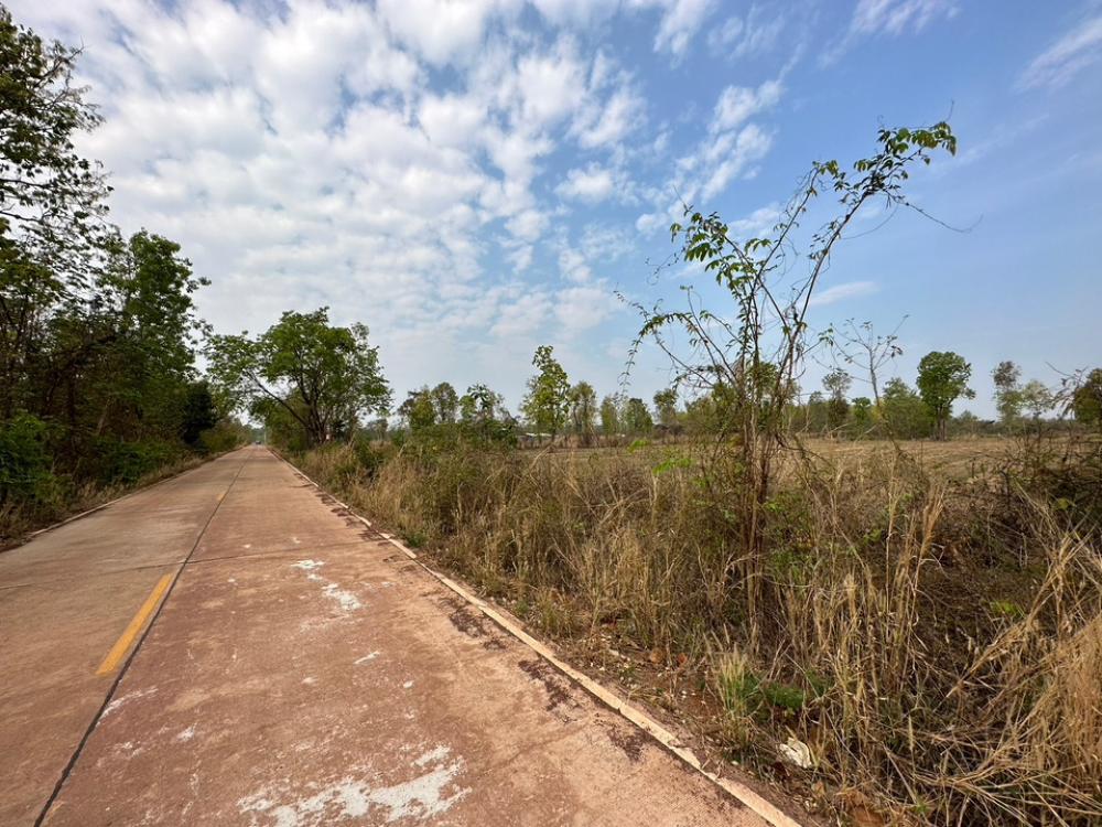 ขายที่ดินด่วน 30ไร่ 3 งาน 21 ตรว.  โฉนดพร้อมโอน ติดถนน 3 ด้าน อ.เมือง จ.สกลนคร – รูปที่ 2