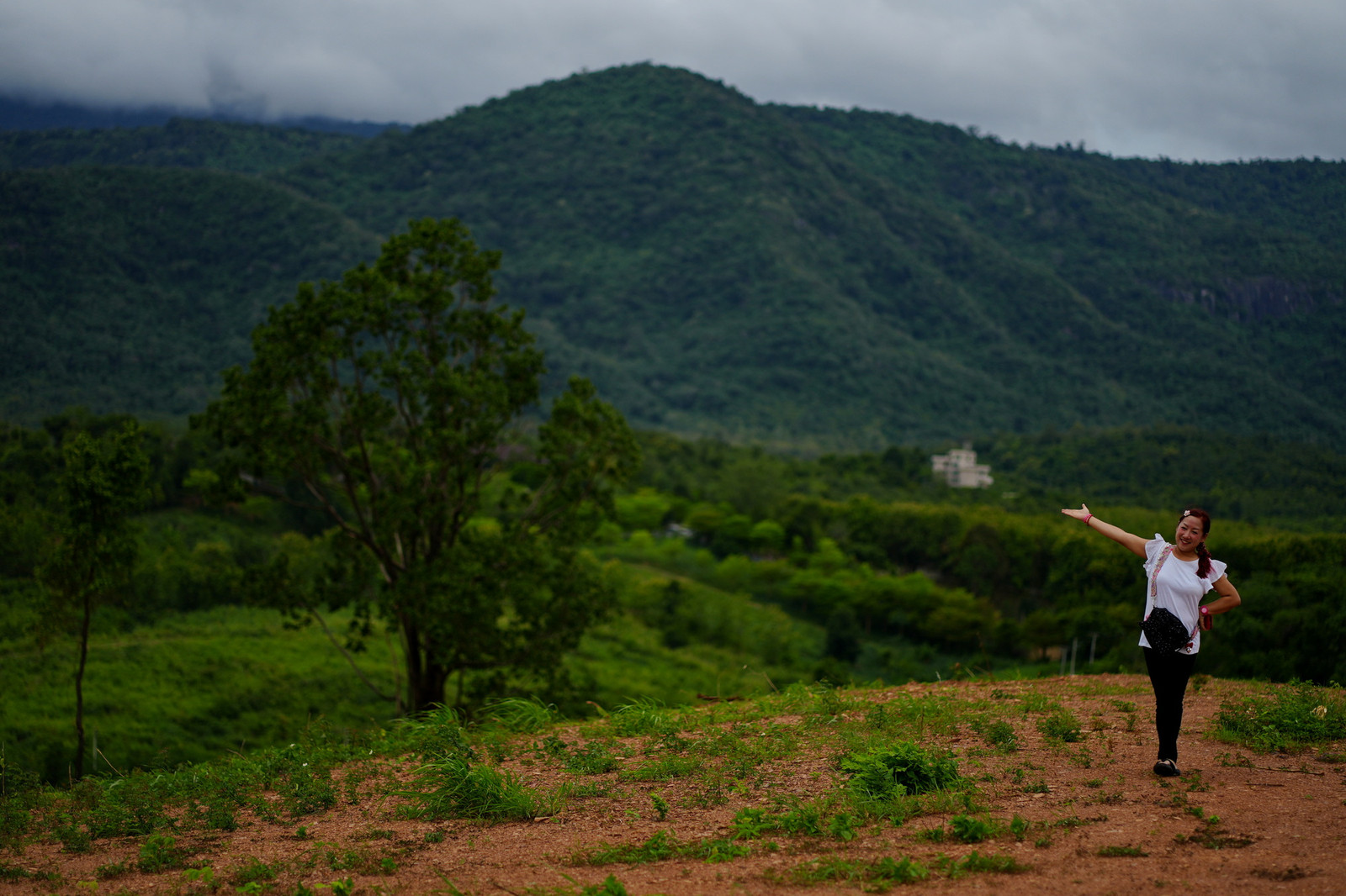 Panoramic view of Khao Yai National Park, 91 Rai Near Intercon Swan Lake , Khao Yai panoramic view, very beautiful 5.5 mil/rai