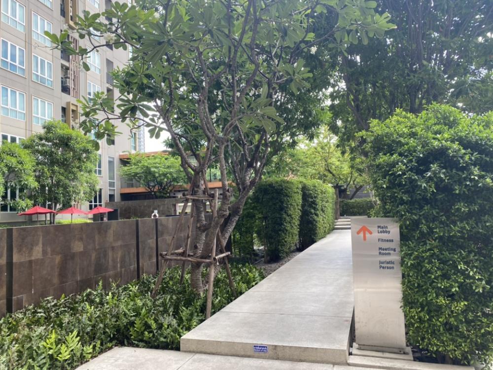() condo The Key สาทร-ราชพฤกษ์ ชั้นสูง ลมเย็น () condo The Key สาทร-ราชพฤกษ์ ชั้นสูง ลมเย็น