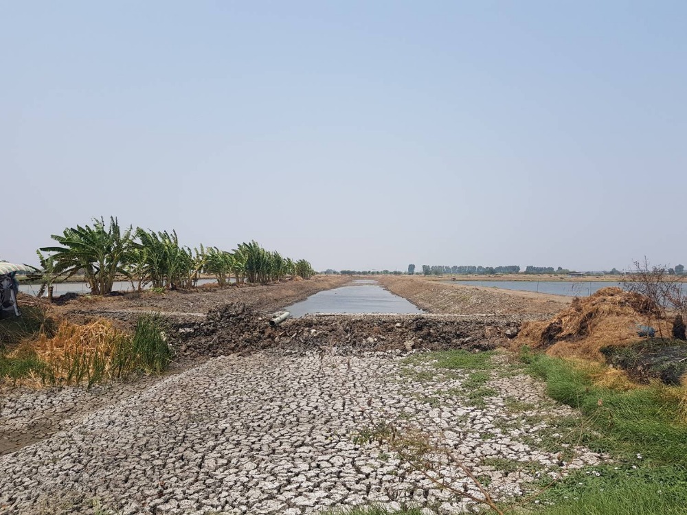 Land for sale 3 rai-3 ngan-79.4 square wah, Ban Rakat, Bang Bo, Samut Prakan. Land for sale 3 rai-3 ngan-79.4 square wah, Ban Rakat, Bang Bo, Samut Prakan.