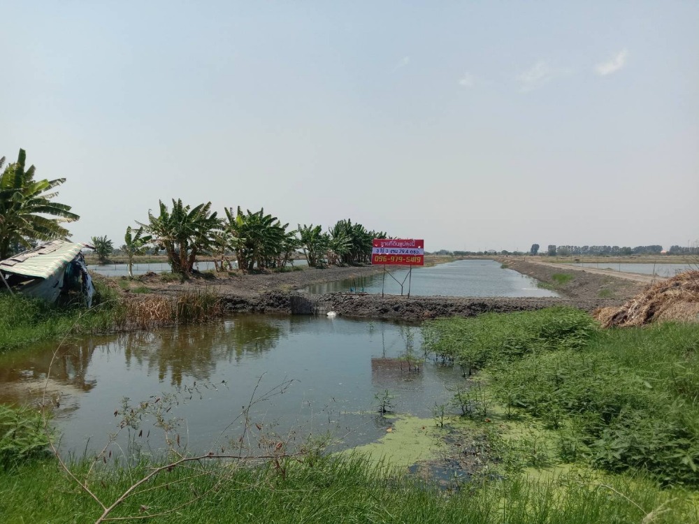 ขายที่ดิน 3ไร่-3งาน-79.4ตร.วา บ้านระกาศ บางบ่อ สมุทรปราการ – รูปที่ 2