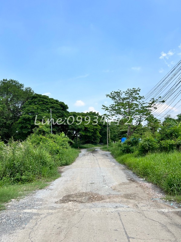 ขายที่ดิน93ตร.วา หมู่บ้าน เมืองทอง การ์เด้นส์ พัฒนาการ ถนนพัฒนาการ69 เขตประเวศ เหมาะสำหรับปลูกบ้านอยู่อาศัย ราคา: 2,976,000.- – รูปที่ 2