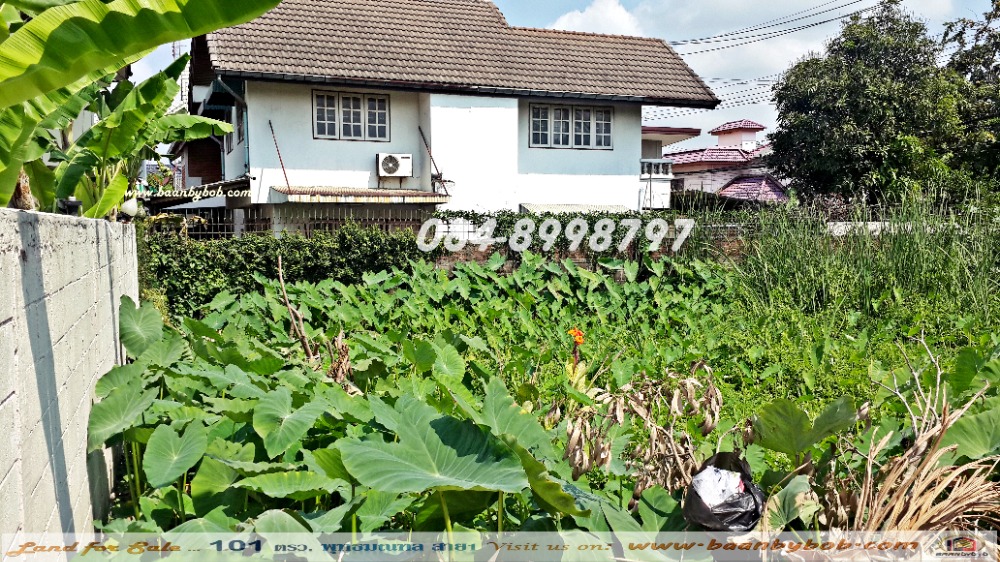 ขายที่ดิน พุทธมณฑล สาย 1 ตลิ่งชัน เนื้อที่ 101 ตร.วา แปลงมุม ใกล้ทางด่วน ทำเลสวย เดินทางสะดวก ขาย 85,000 บาท/ตร.วา – รูปที่ 2