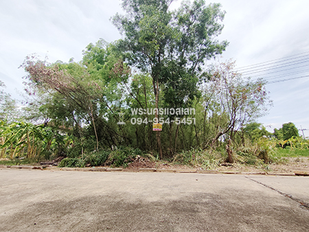 ขายที่ดิน เนื้อที่ 180 ตรว. ถมแล้ว ม.เมืองเอก 4 ถนนเอกทักษิณ ซอยพหลโยธิน 87 ใกล้รถไฟฟ้าสายสีแดง สถานีหลักหก มหาวิทยาลัยรังสิต สนามกอล์ฟเมืองเอก ฟิวเจอร์พาร์ครังสิต เมเจอร์รังสิต ตลาดรังสิต สนามบินดอนเมือง ขายที่ดิน เนื้อที่ 180 ตรว. ถมแล้ว ม.เมืองเอก 4 ถนนเอกทักษิณ ซอยพหลโยธิน 87 ใกล้รถไฟฟ้าสายสีแดง สถานีหลักหก มหาวิทยาลัยรังสิต สนามกอล์ฟเมืองเอก ฟิวเจอร์พาร์ครังสิต เมเจอร์รังสิต ตลาดรังสิต สนามบินดอนเมือง