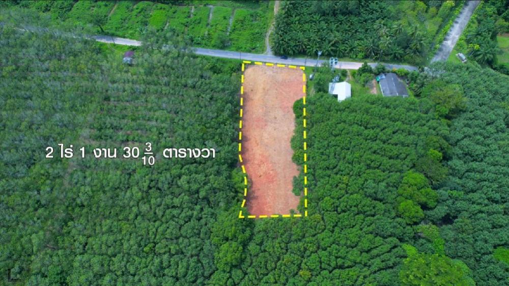 Land for sale 2 rai 1 ngan 30.3 sq m. Located in Kung Bay, Thalang, Phuket. – รูปที่ 4