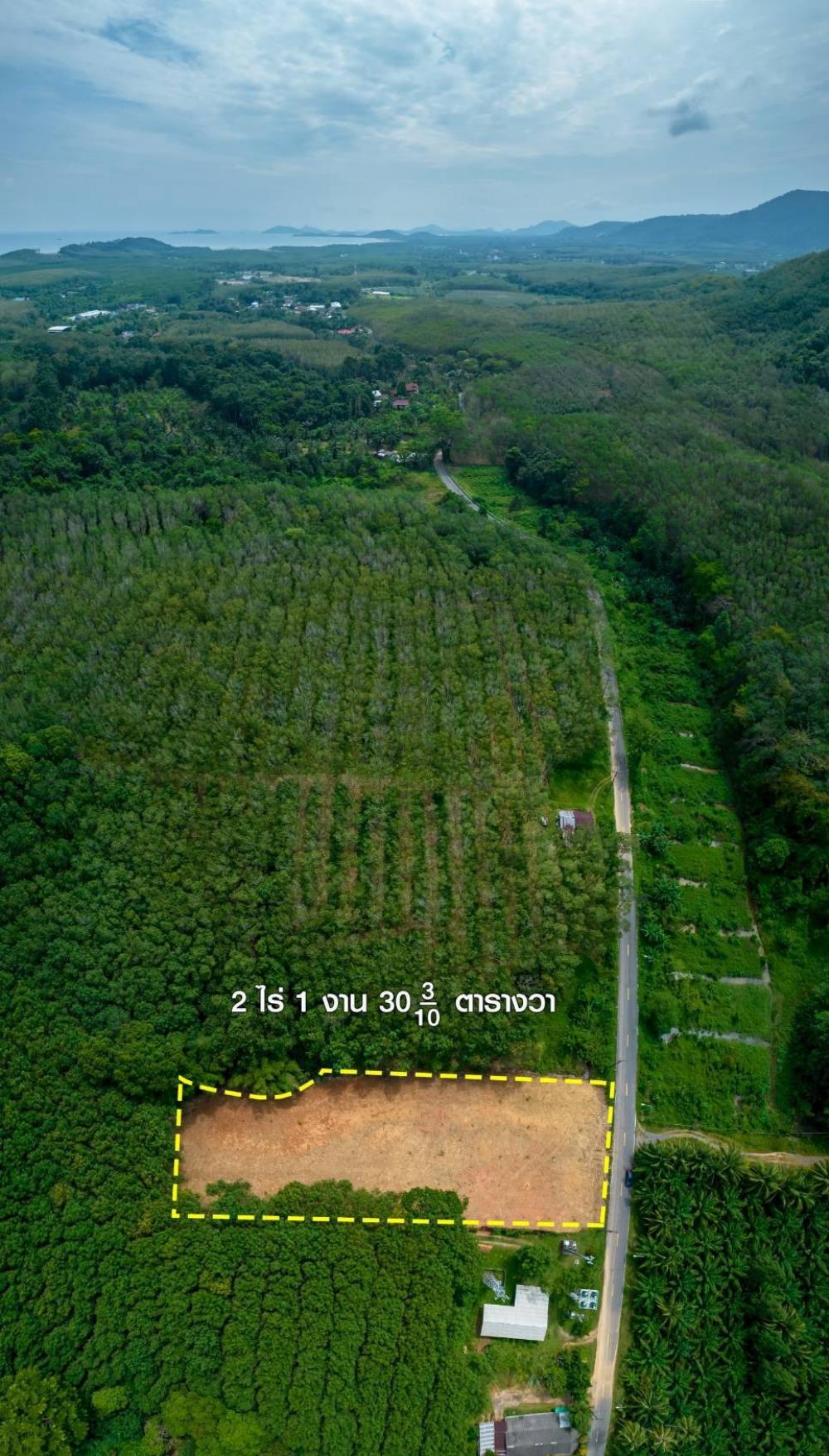 Land for sale 2 rai 1 ngan 30.3 sq m. Located in Kung Bay, Thalang, Phuket. – รูปที่ 2
