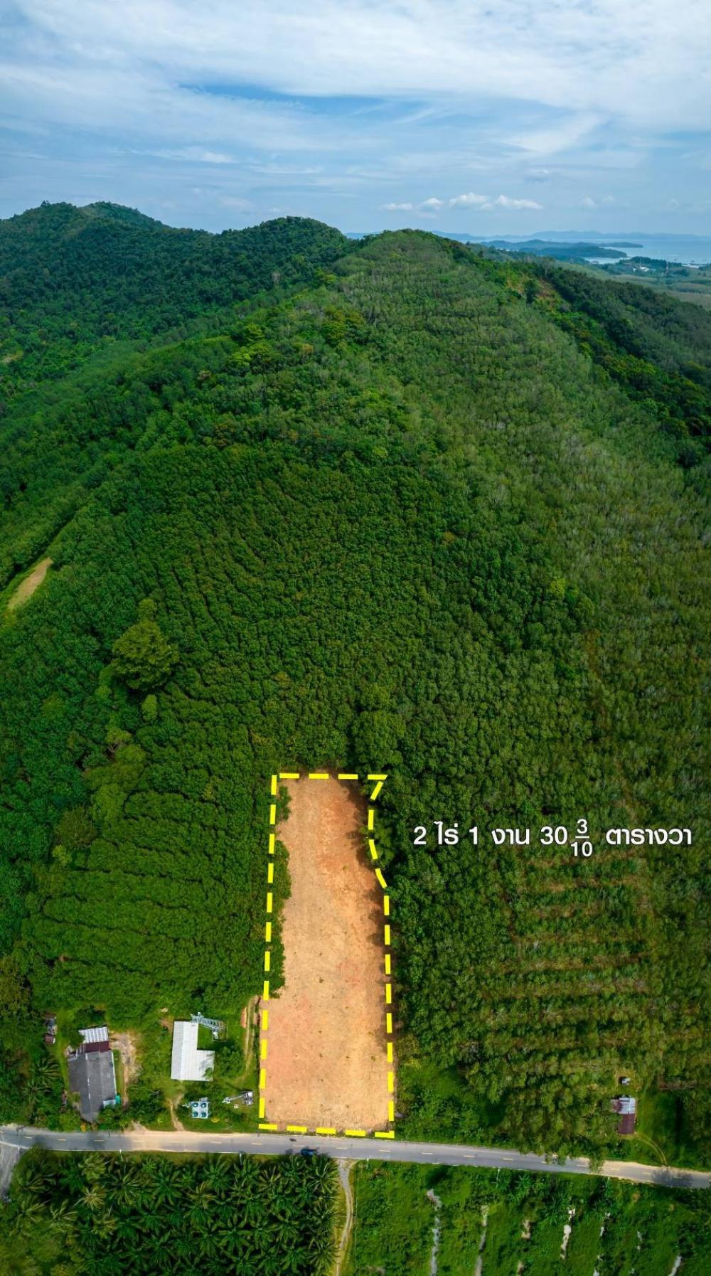 Land for sale 2 rai 1 ngan 30.3 sq m. Located in Kung Bay, Thalang, Phuket. – รูปที่ 3