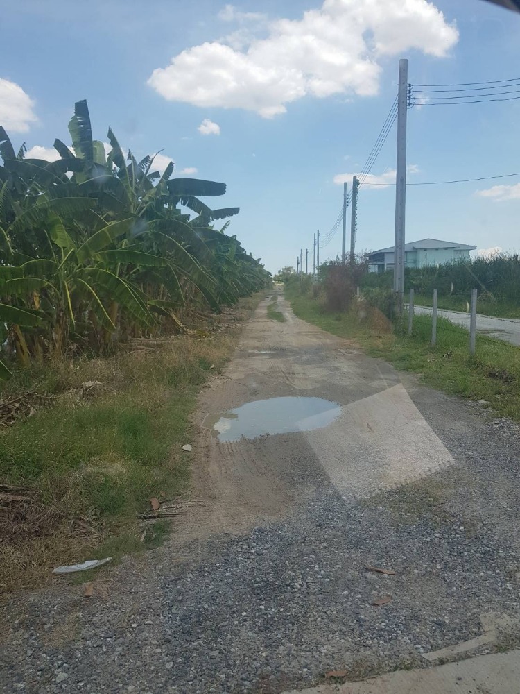 ขาย ที่ดิน 30ไร่ ใกล้วัดบัวโรย สมุทรปราการ – รูปที่ 2