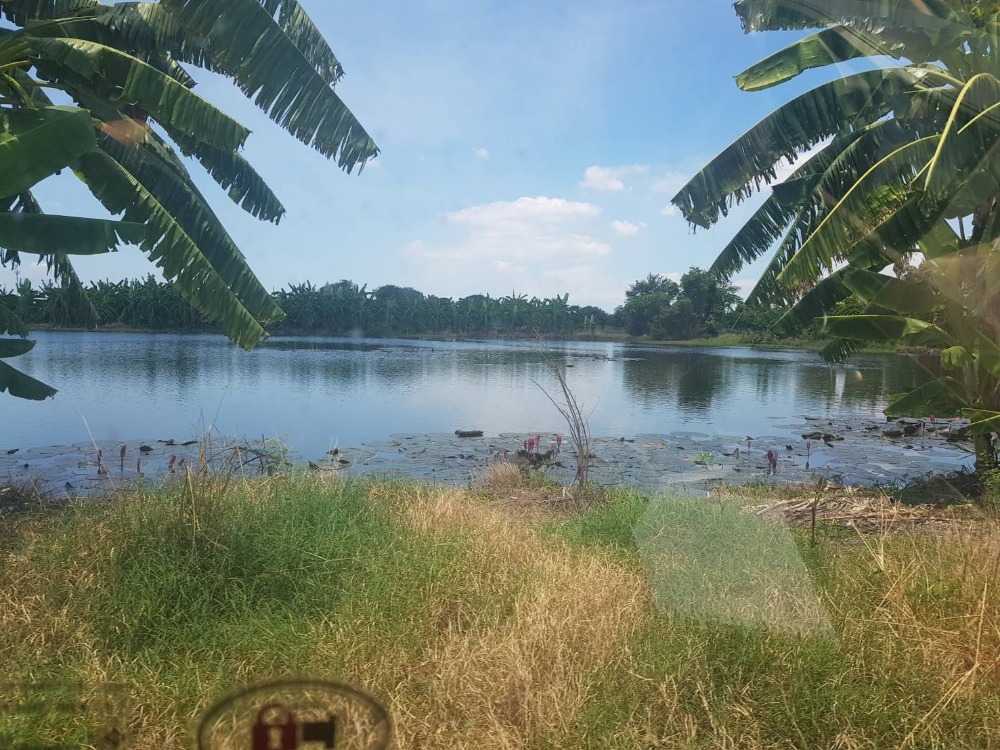 ขาย ที่ดิน 30ไร่ ใกล้วัดบัวโรย สมุทรปราการ – รูปที่ 3