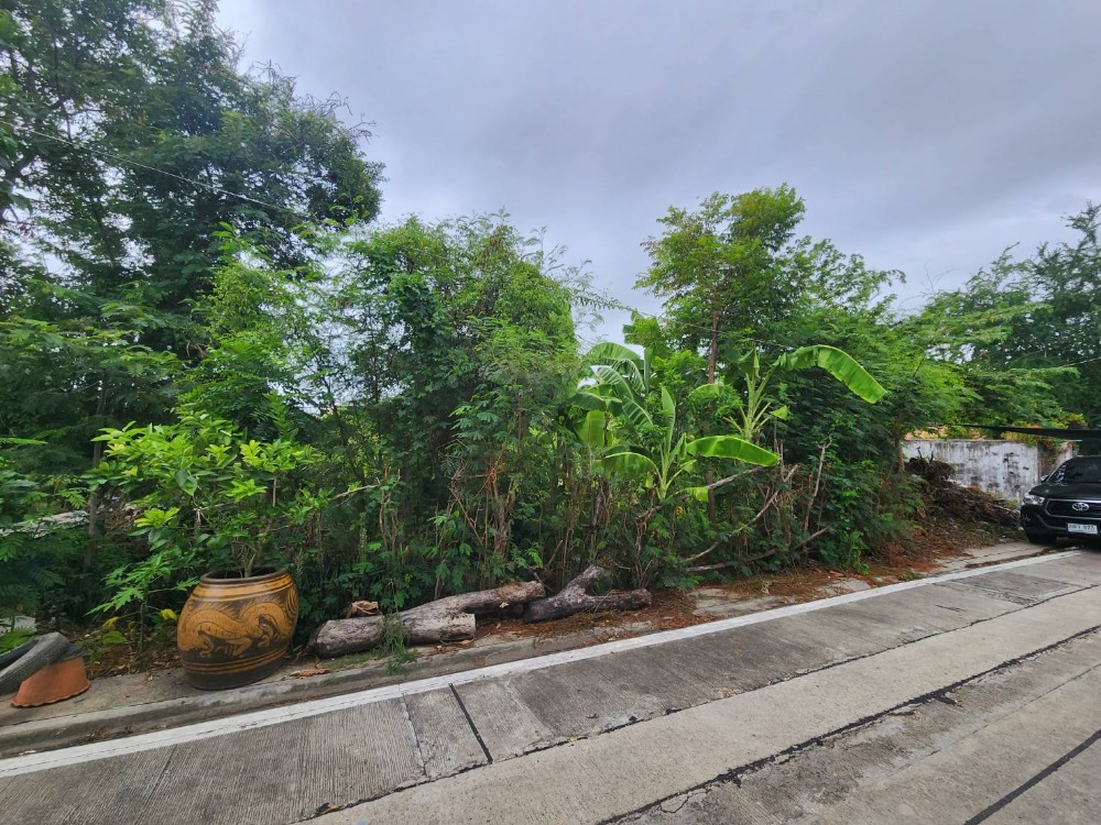 ขายที่ดินเปล่า เทพารักษ์86 ใกล้โรงงานอังกฤษตรางู – รูปที่ 2