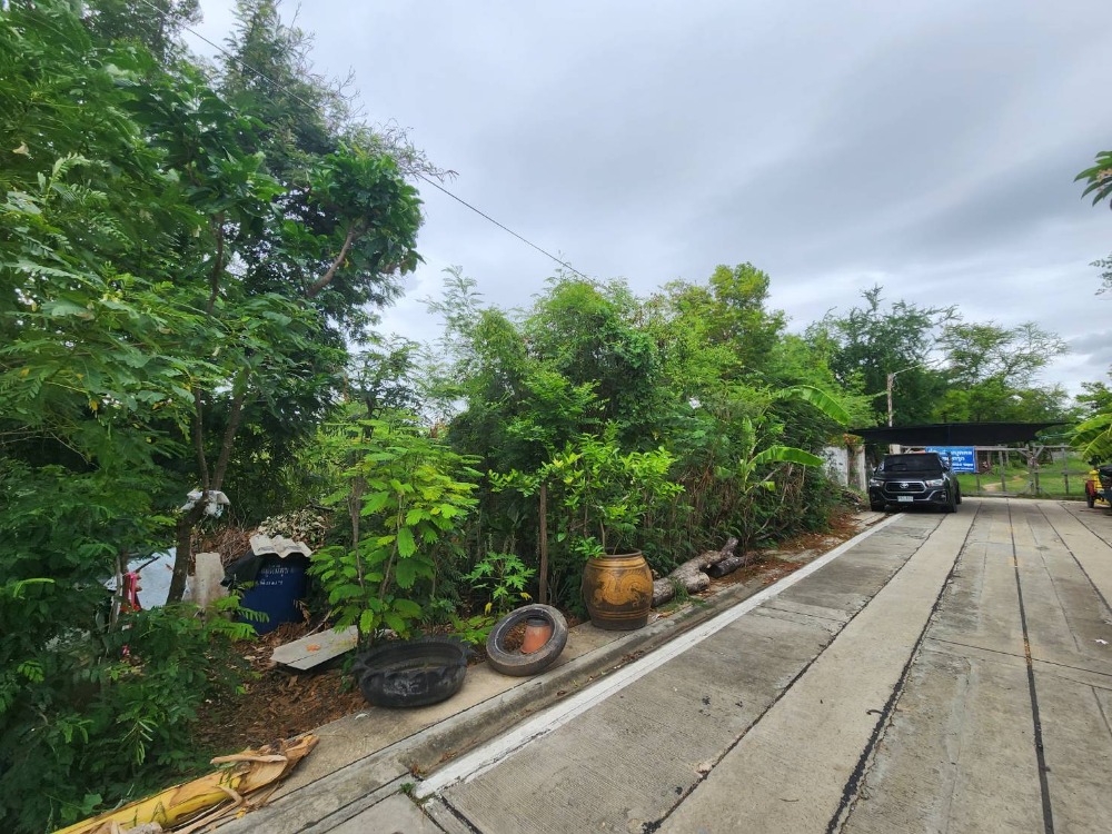 ขายที่ดินเปล่า เทพารักษ์86 ใกล้โรงงานอังกฤษตรางู