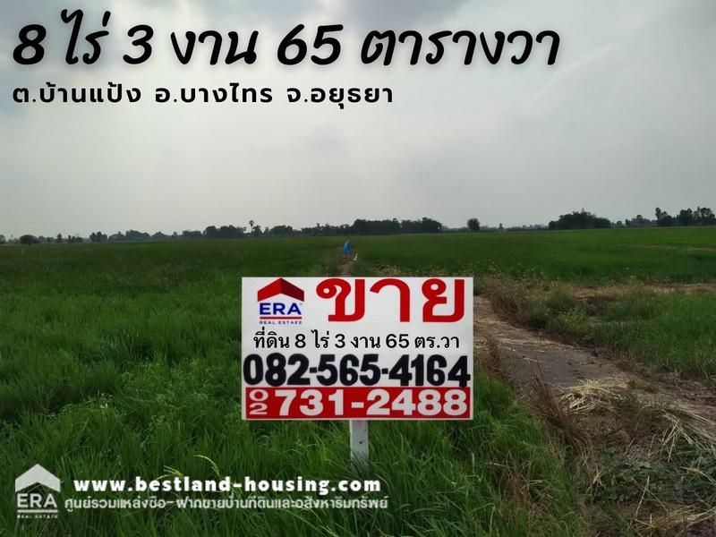 ขายที่ดินเปล่า พื้นที่ 8 ไร่ 3 งาน 65 ตารางวา ต.บ้านแป้ง อ.บางไทร จ.อยุธยา ขายที่ดินเปล่า พื้นที่ 8 ไร่ 3 งาน 65 ตารางวา ต.บ้านแป้ง อ.บางไทร จ.อยุธยา