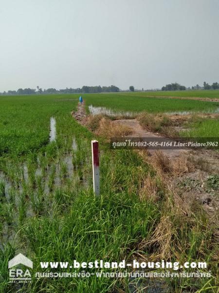 Land for sale, area 8 rai 3 ngan 65 square wah, Ban Pang Subdistrict, Bang Sai District, Ayutthaya Province – รูปที่ 4