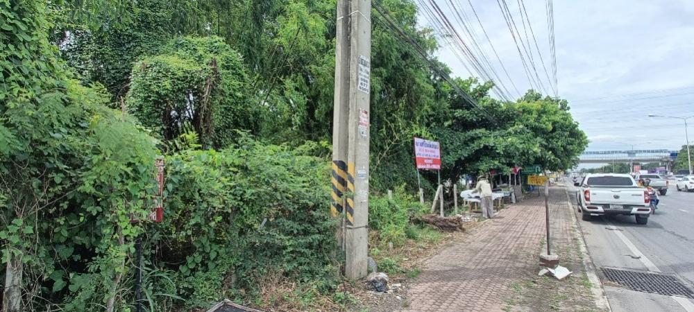 Land for sale on Rangsit-Nakhon Nayok Road, Pathum Thani, Thanyaburi District, Khlong 7, near Lotus Toyota Sure. – รูปที่ 4