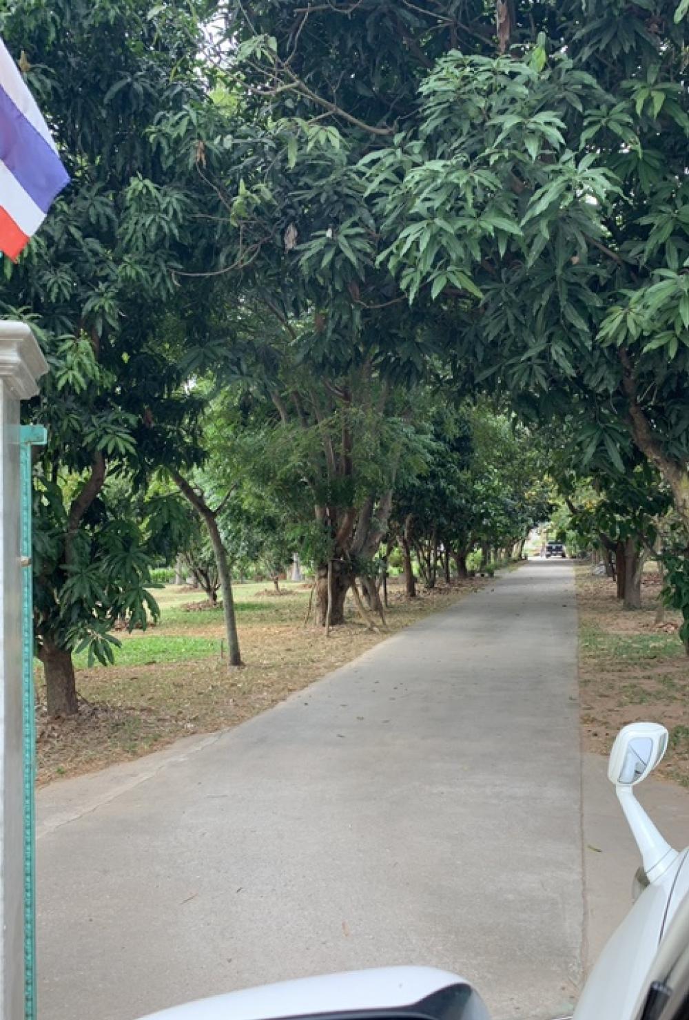 ขายที่ดินอำเภอเมือง นครราชสีมา 31ไร่แถมบ้าน6หลัง ขายที่ดินอำเภอเมือง นครราชสีมา 31ไร่แถมบ้าน6หลัง