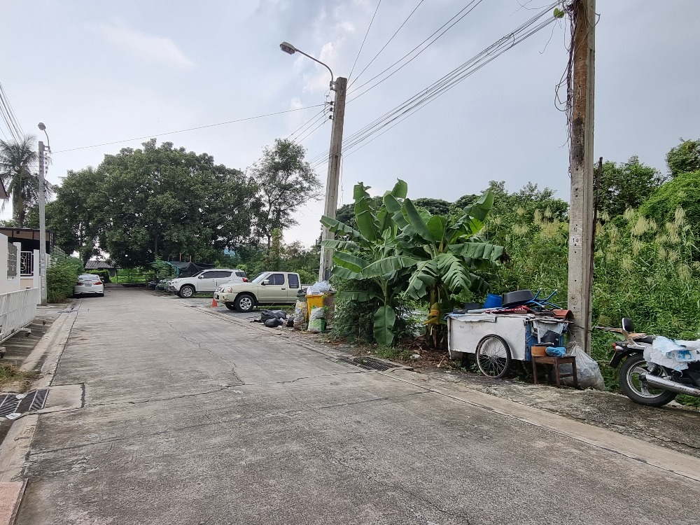 ที่ดิน 554 ตรว. ในซอยเพชรเกษม 77 แยก 3-12 ผังเมืองสีเหลือง เหมาะสร้างม.จัดสรรเล็กๆ – รูปที่ 3